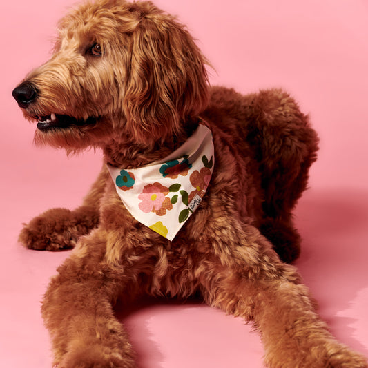 Pet Wallpaper Floral