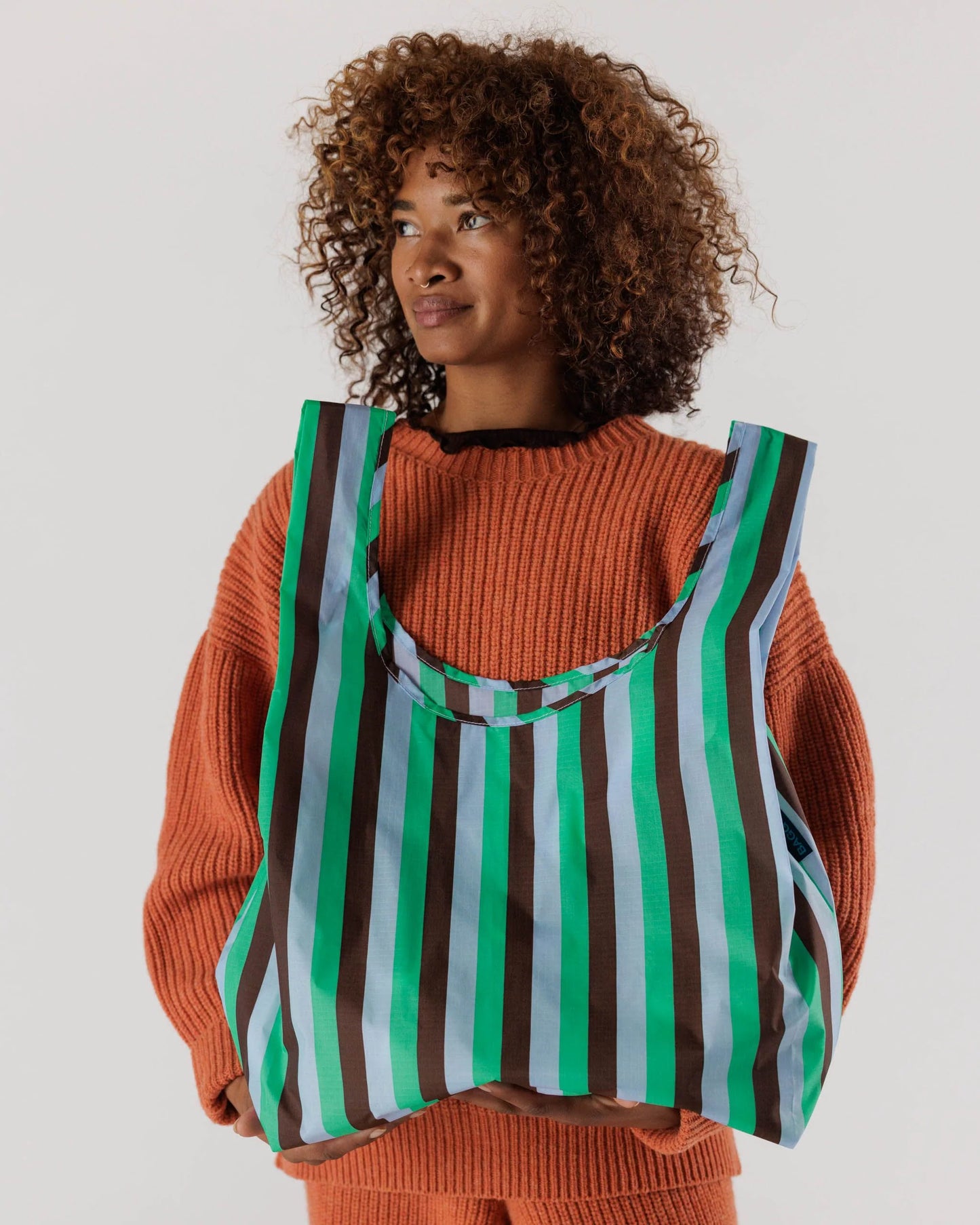 Standard Baggu - Mint 90's Stripe