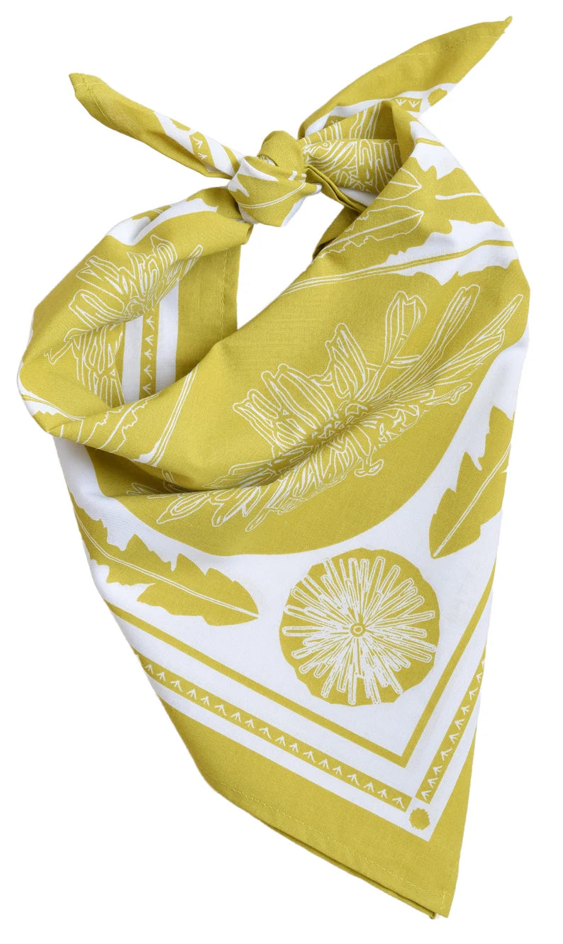 Bandana Dandelion