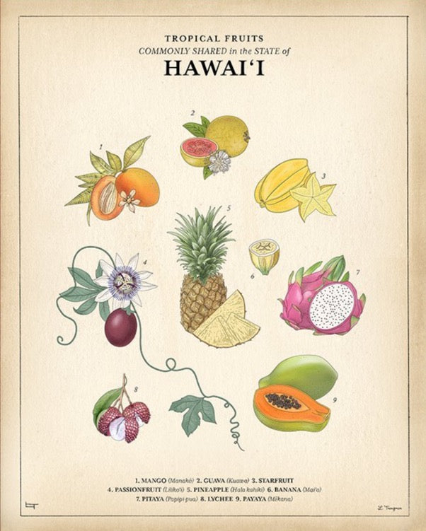 TROPICAL FRUITS - Lauren Trangmar