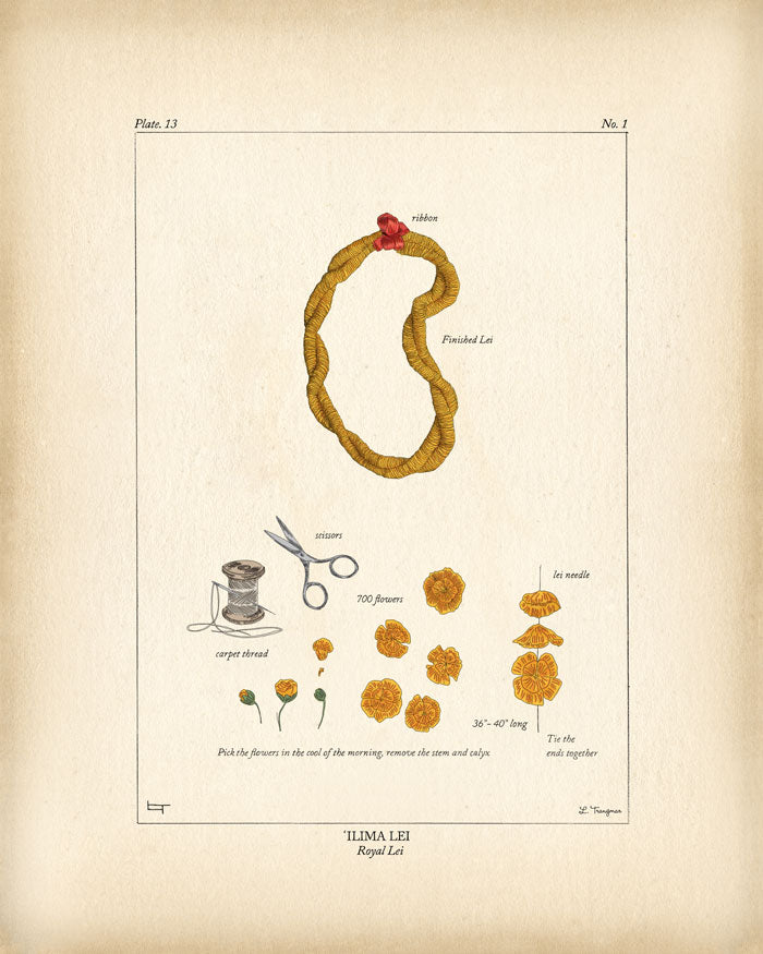 ILIMA LEI - Lauren Trangmar