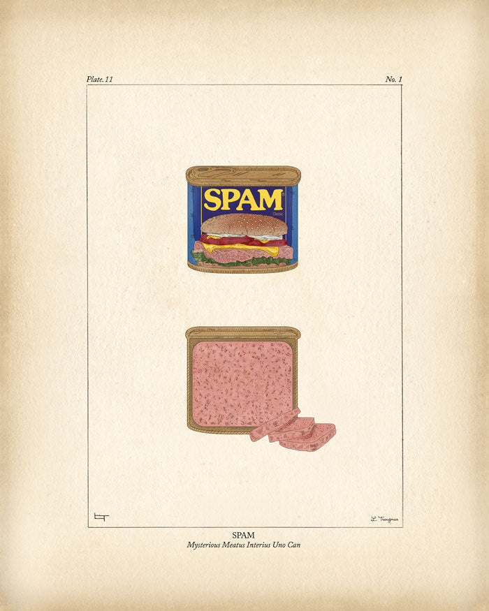 SPAM CAN - Lauren Trangmar