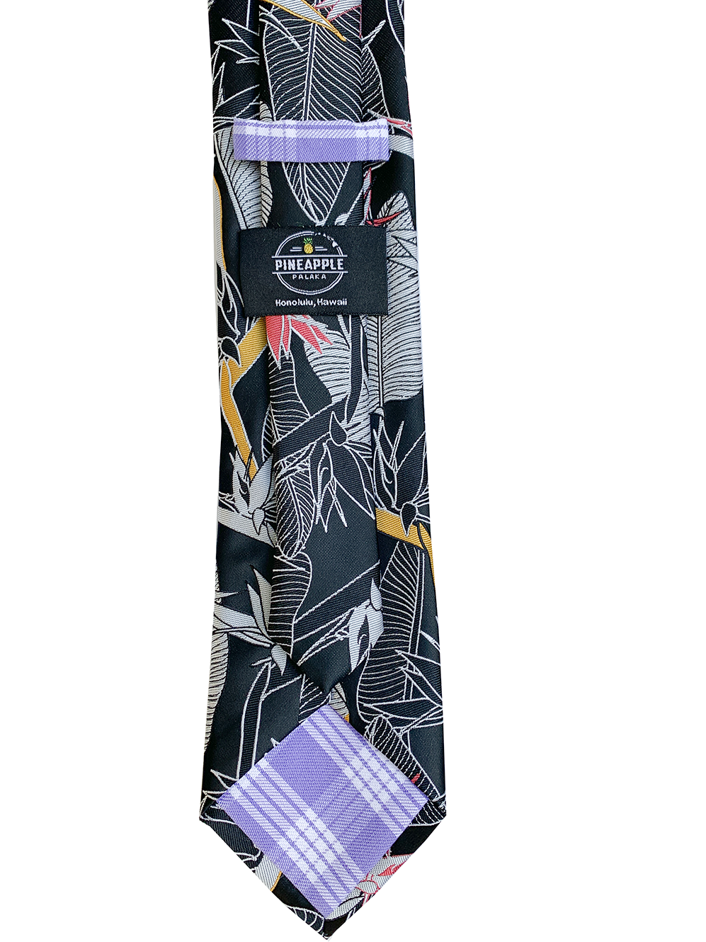 Bird of Paradise Black Modern