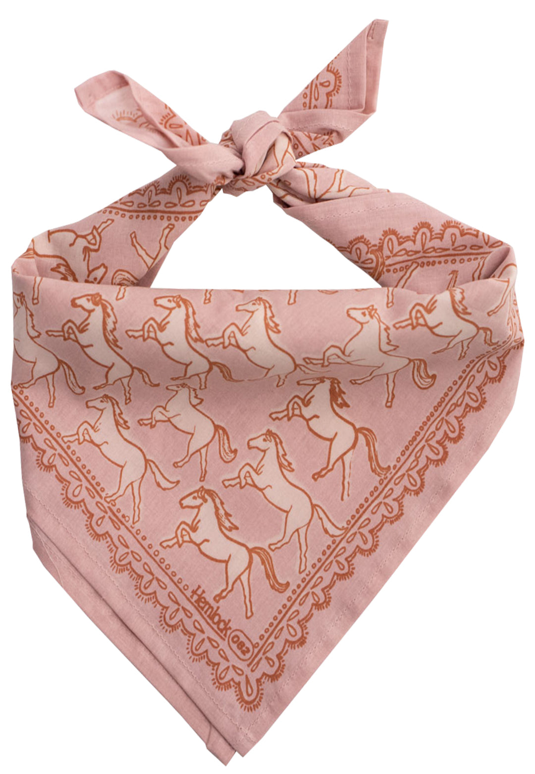 Bandana Horses