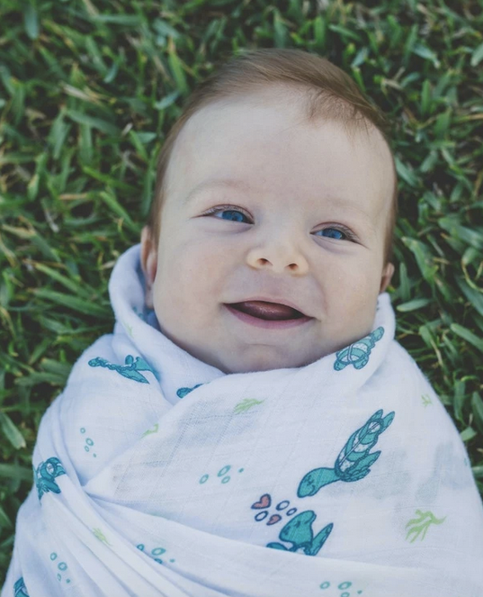 Swaddle Blanket - Honu