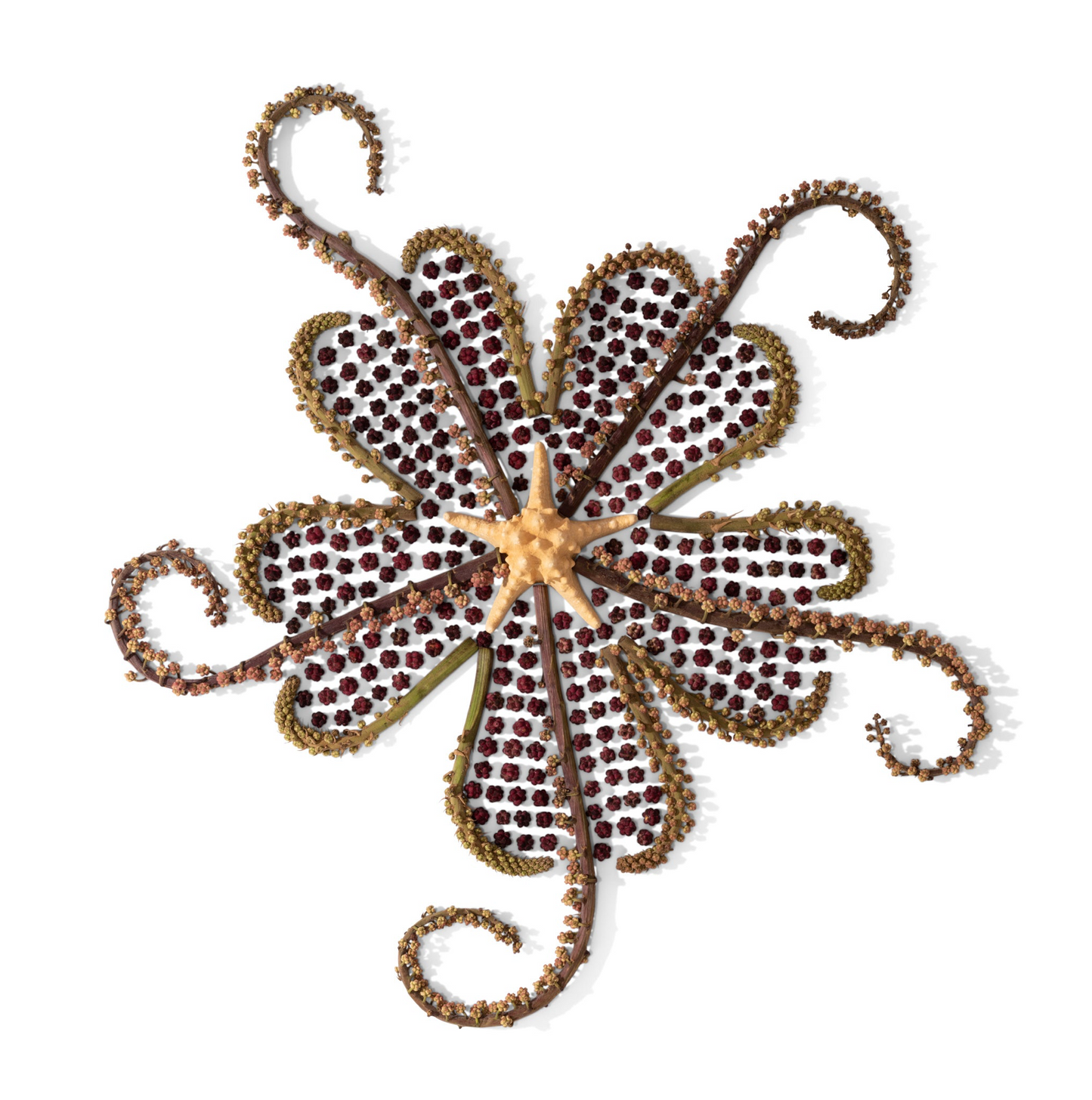 UNCLE'S TAKO