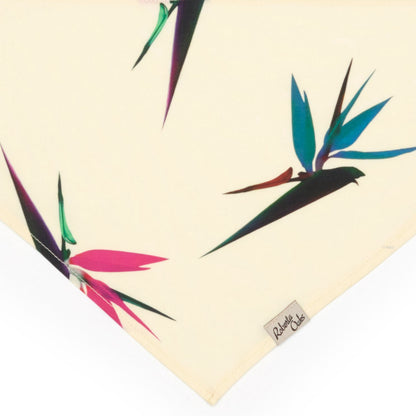 Pet Bird of Paradise Pale Yellow