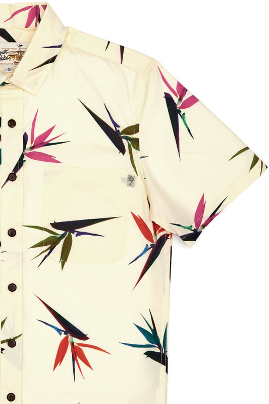 Bird of Paradise Pale Yellow