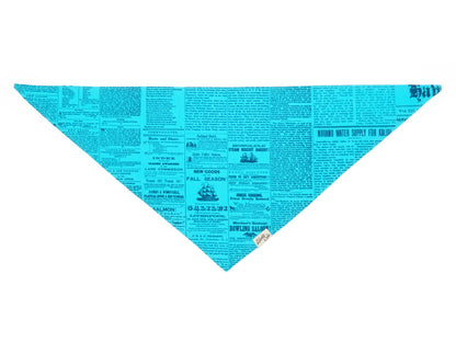 Pet Old News Tuquoise + Navy