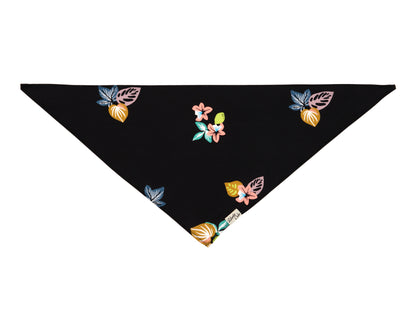 Pet Tropical Harvest Black