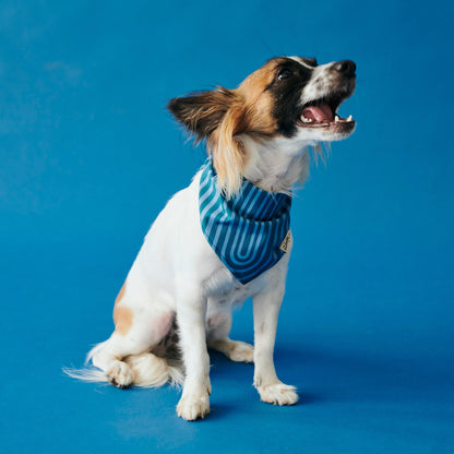 Pet Arco Tide