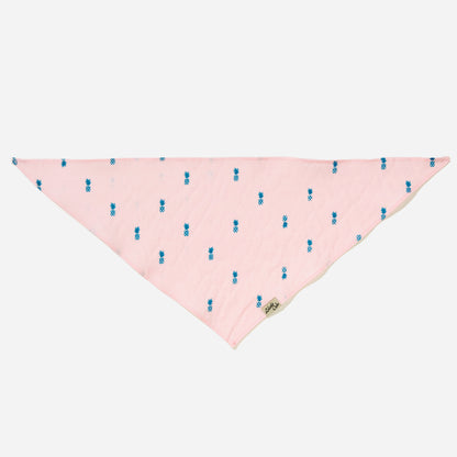 Pet Pale Pink Pineapple