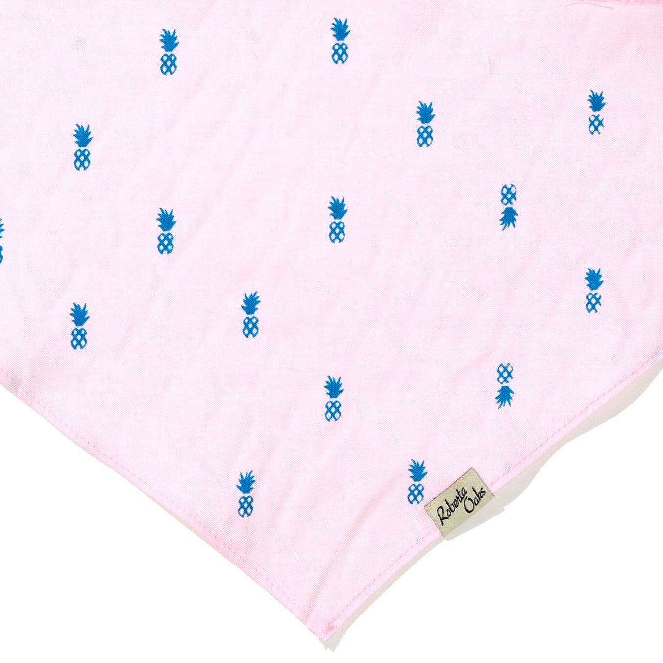 Pet Pale Pink Pineapple