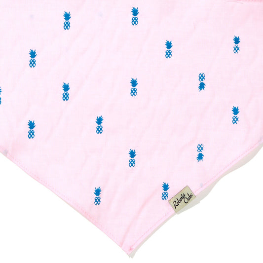 Pet Pale Pink Pineapple