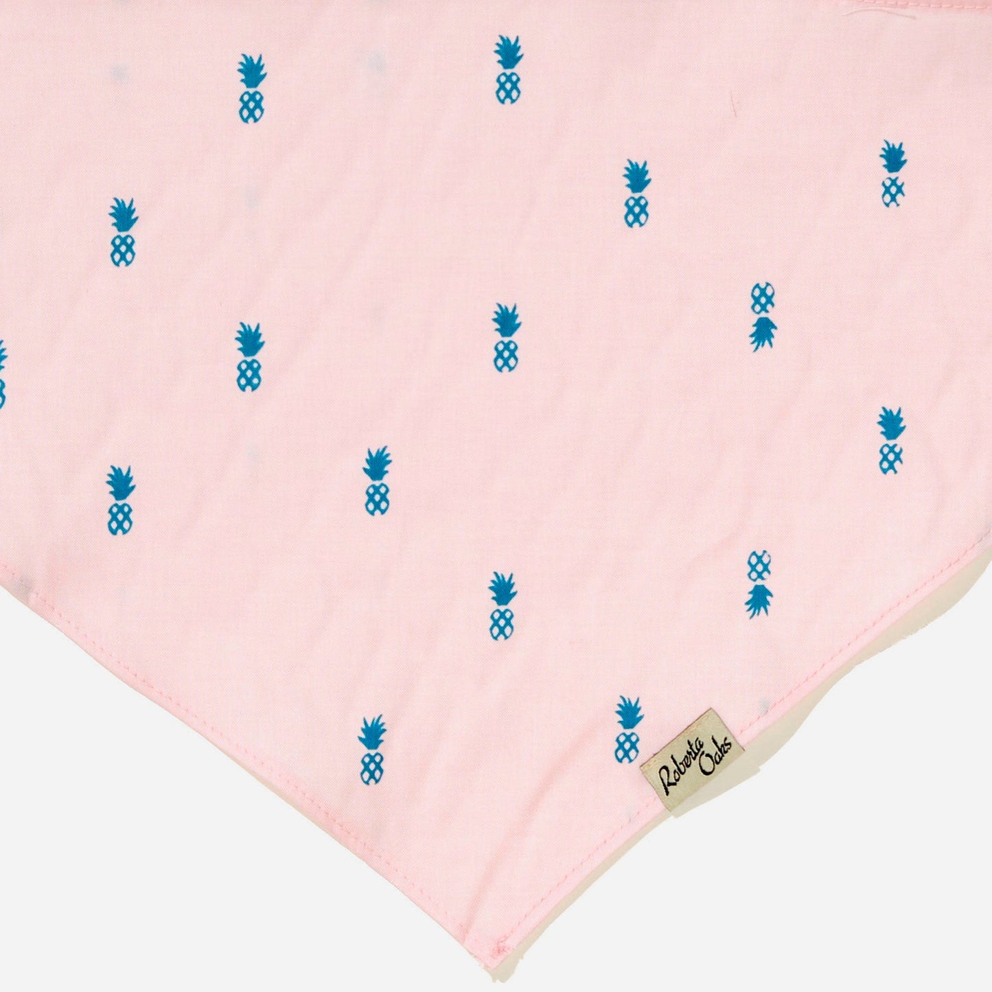 Pet Pale Pink Pineapple