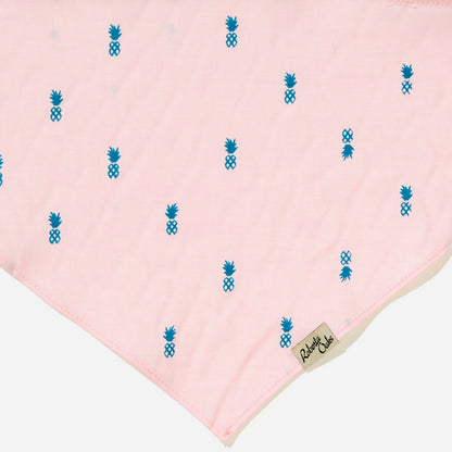 Pet Pale Pink Pineapple