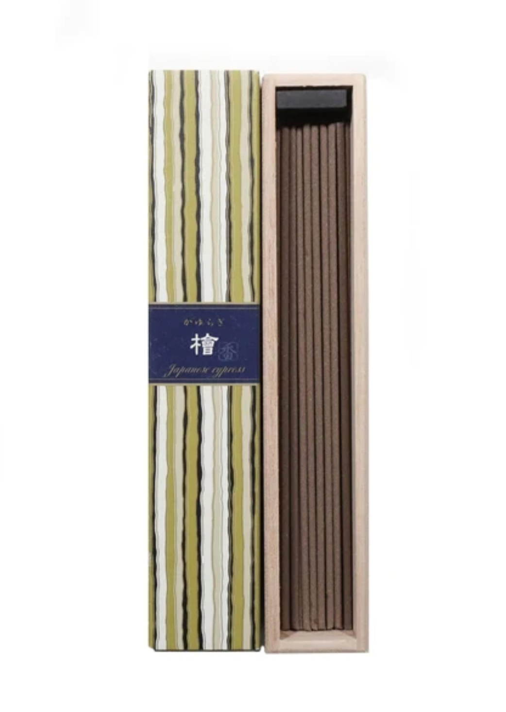 Japanese Cypress - 40 sticks