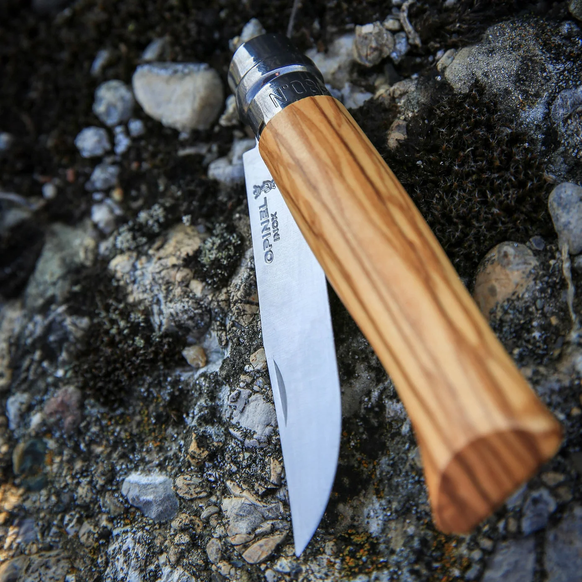 No. 8 Olive Wood + Sheath Gift Set