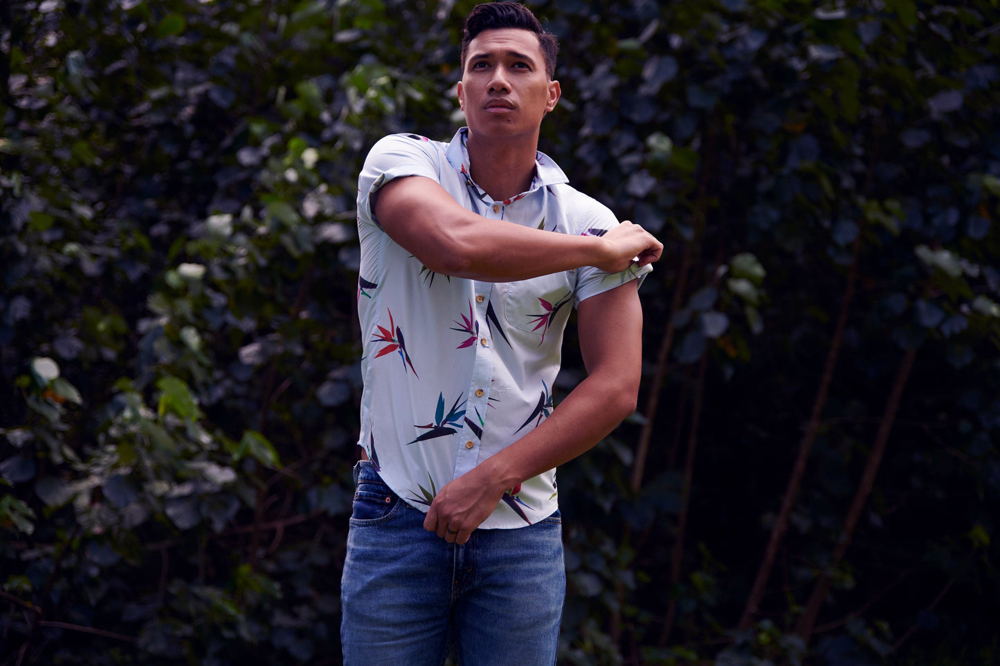 Bird of Paradise Blue - Back In Stock