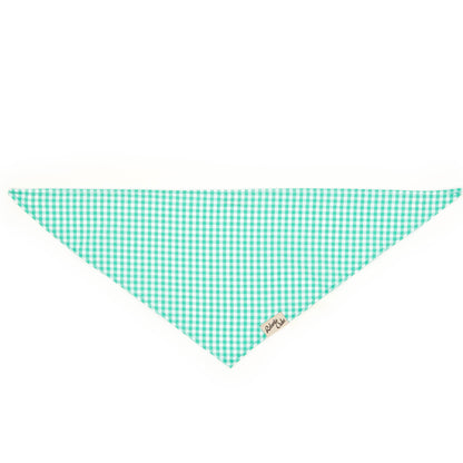 Pet Gingham Aqua