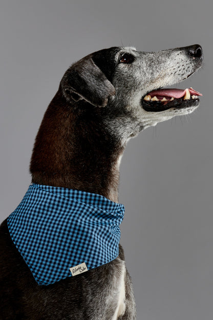 Pet Gingham Indigo