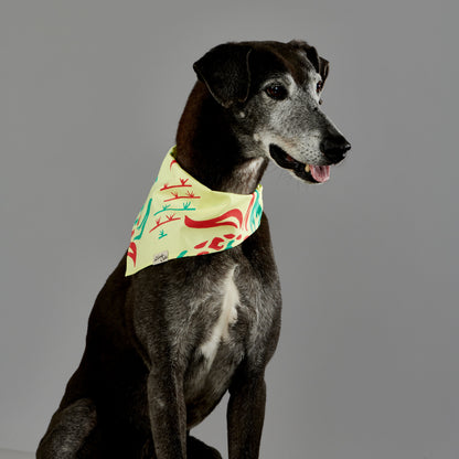 Pet Pineapple Fields