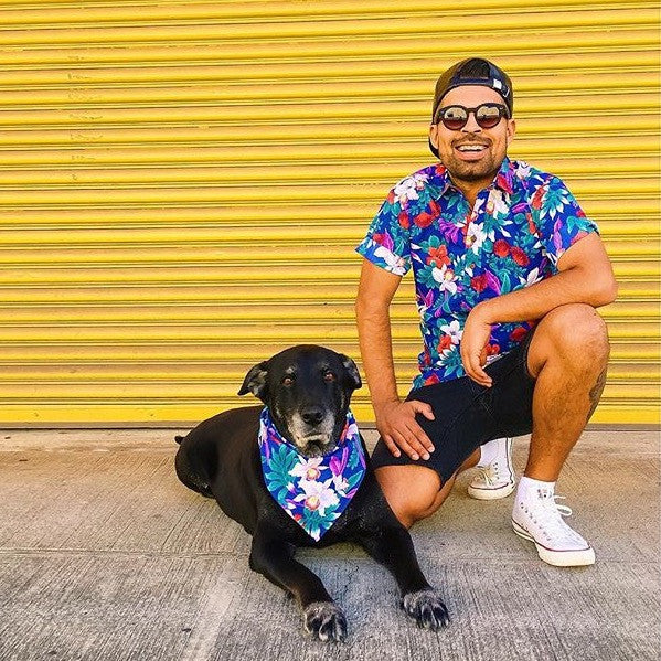 Pet Humu Honolulu Black