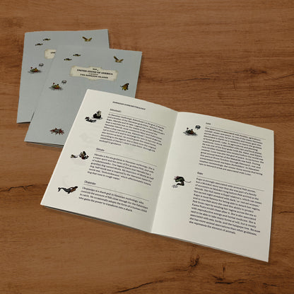 HAWAIIAN ISLANDS MAP - Lauren Trangmar