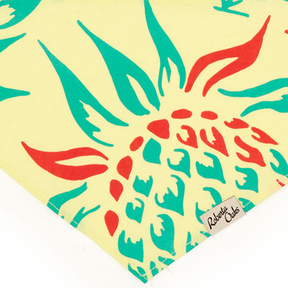 Pet Pineapple Fields