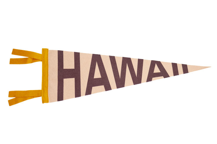LARGE PENNANT - HAWAII
