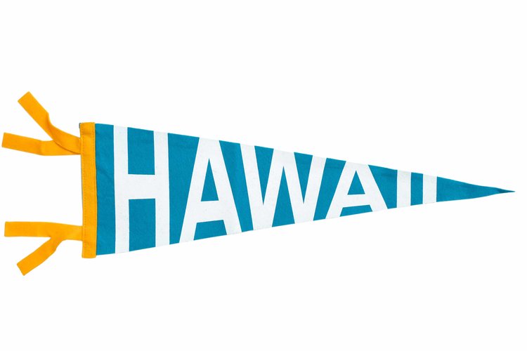LARGE PENNANT - HAWAII