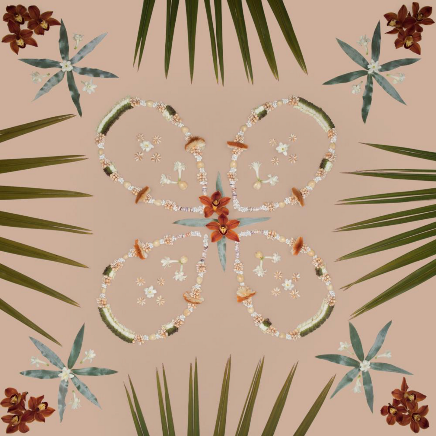 FRONDS OF MINE
